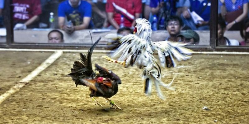 97win9 ﻿đăng nhập lô đề uy tín