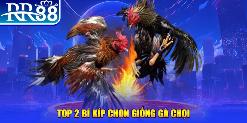 97win9 bắn cá h5
