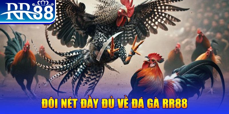 97win9 gà chọi hoà phong