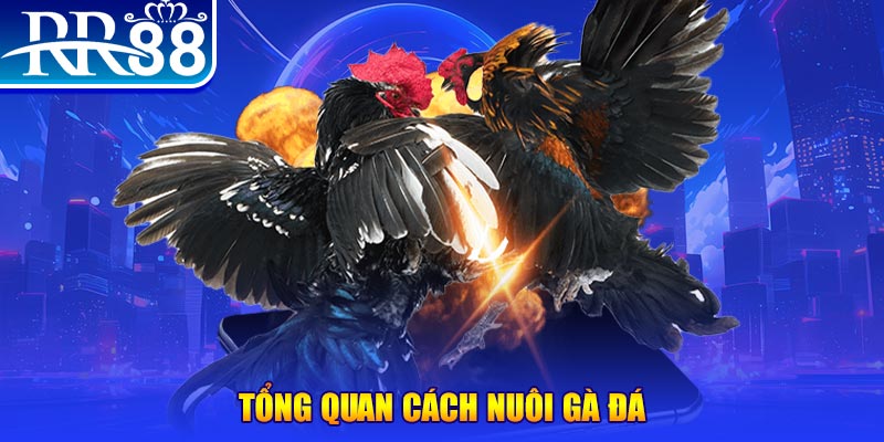 97win9 xổ số thứ ba
