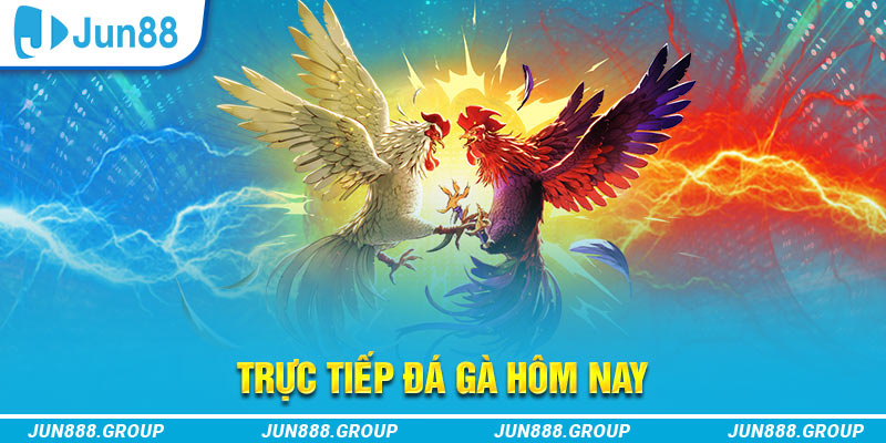 97win9 trực tiếp đá gà thomo