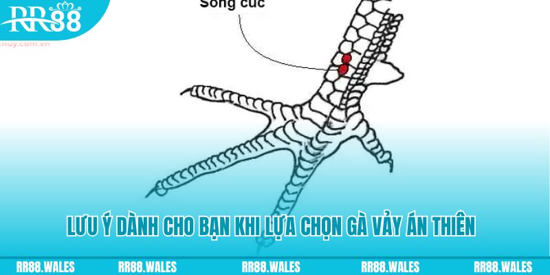97win9 xổ số khánh hòa