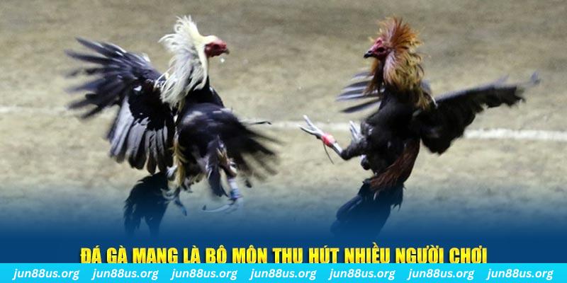 97win9 xổ số long an