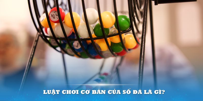 97win9 Đĩa màu ace