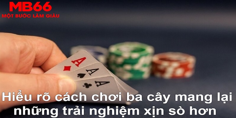 97win9 DB Trực Tuyến