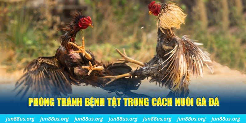 97win9 natural” trong baccarat nghĩa là gì？