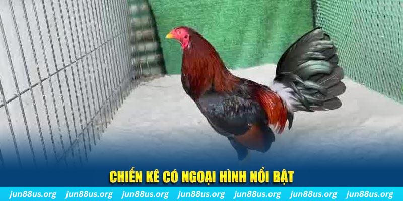97win9 nhạc slot là gì